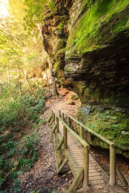 Hiking trail in Natural Bridge State Park in Kentucky clipart