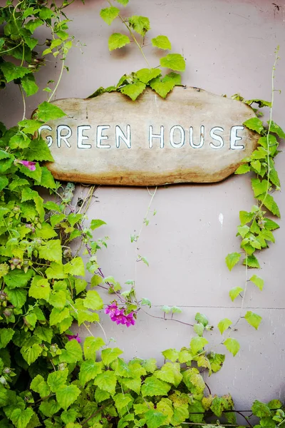 Cartel Green House Una Tabla Madera Rodeada Una Vid Verde — Foto de Stock