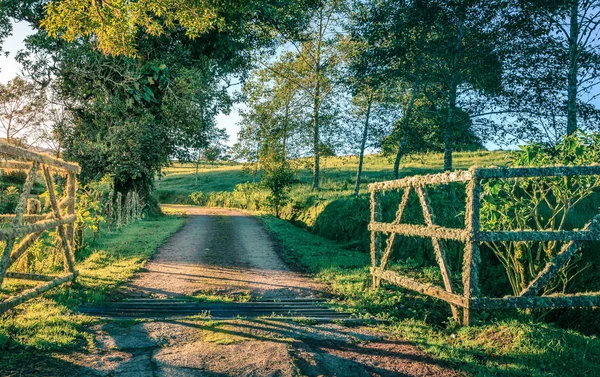 Vista Panorâmica Uma Pequena Estrada Rural Portão Fazenda Coberto Musgo — Fotografia de Stock