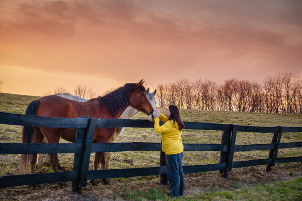 Young woman is petting horses on a farm in Kentucky at sunset