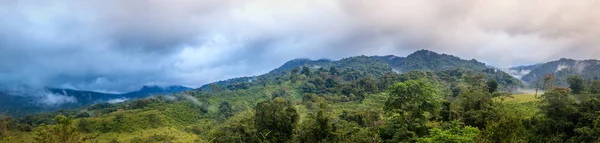 Panoramik Manzaralı Merkezi Kosta Rika Ormanda Bulut — Stok fotoğraf