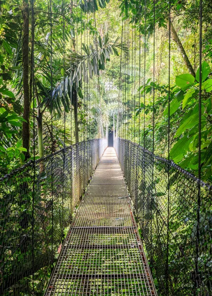 Des Ponts Suspendus Dans Arenal Hanging Bridges Park Costa Rica — Photo