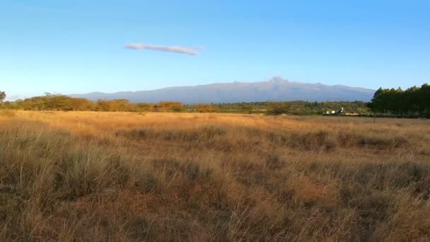 Panorama Pemandangan Gunung Kenya Saat Matahari Terbenam — Stok Video