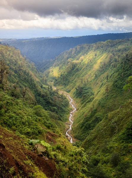 Vista Panoramica Burrone Con Torrente Nel Centro Della Costa Rica — Foto Stock