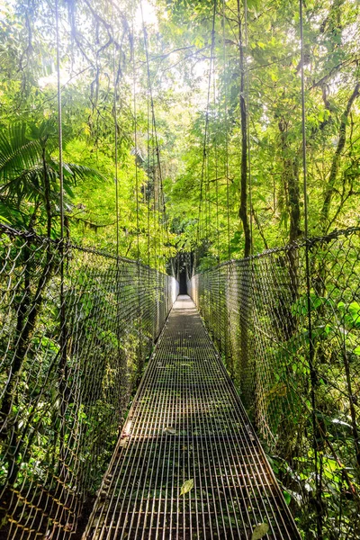 Один Висячих Мостов Аренальном Парке Висячих Мостов Коста Рике — стоковое фото