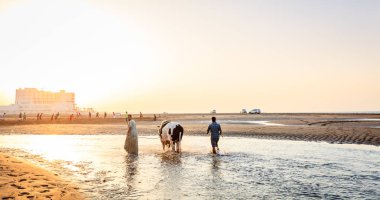 Sohar, Umman, 28 Mayıs 2016: Yerel erkekler Sohar, Umman'da bir plajda boğa yıkıyor