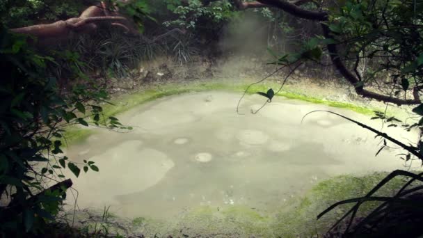 Pentola Fango Bollente Nel Parco Nazionale Rincon Vieja — Video Stock