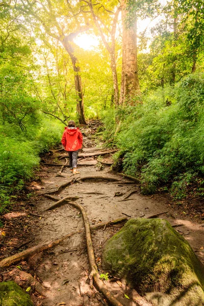 Pěší turistika v Rincon de La Vieja — Stock fotografie