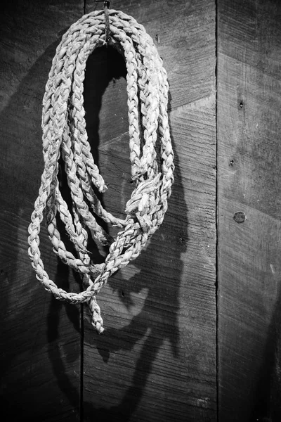 Old lasso hanging on the wall — Stock Photo, Image