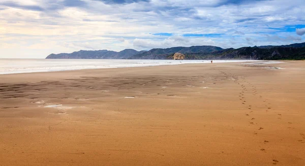 Spiaggia nel Parco Nazionale di Santa Rosa — Foto Stock