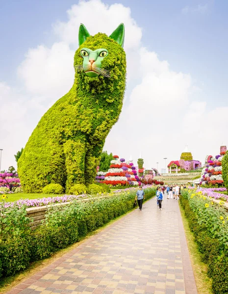 Dubai Miiracle Garden — Foto de Stock