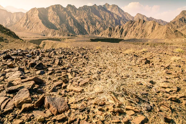 Montagne Hajar negli Emirati Arabi Uniti — Foto Stock