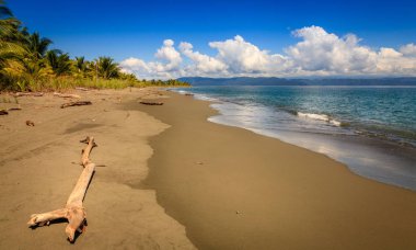 Kosta Rika'da boş plaj