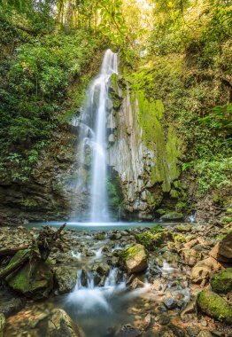 Corcovado Ulusal Parkı Şelalesi