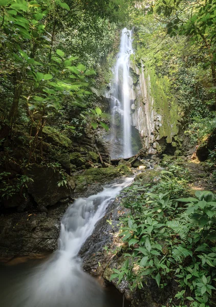 Wasserfall im Corcovado Nationalpark — Stockfoto