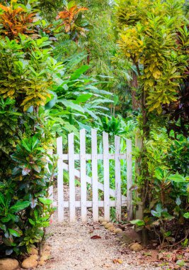 Gate to a tropical garden clipart