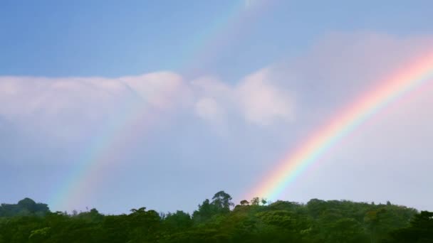 Schöner Blick Auf Doppelten Regenbogen Und Regen Fahren Über Regenwald — Stockvideo