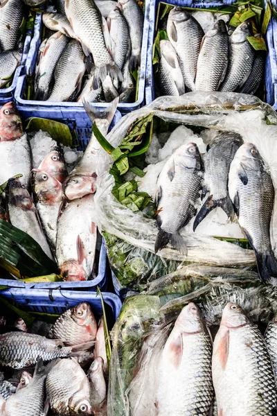 Fresh fish at a market in Chittagong, Bangladesh