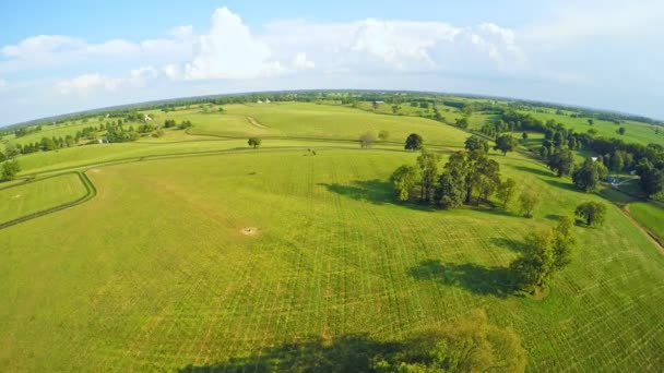 Vista Aérea Panorâmica Fazendas Cavalos Kentucky Central — Vídeo de Stock