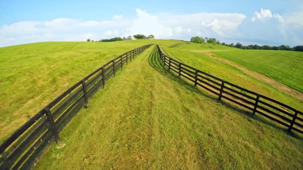 Landschappelijk Uitzicht Paardenfokkerijen Centraal Kentucky — Stockvideo