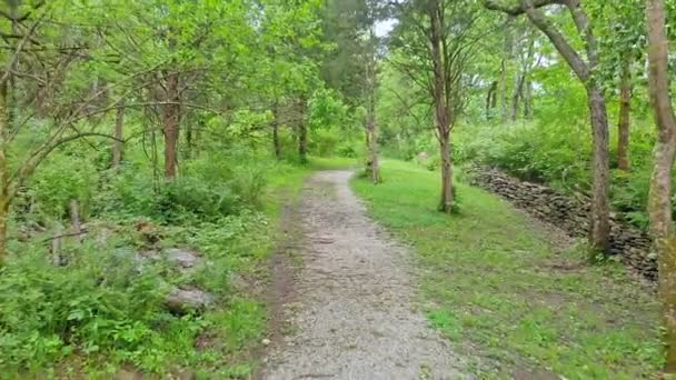 Caminando Por Sendero Leslie Morris Park Fort Hill Frankfort Kentucky — Vídeo de stock