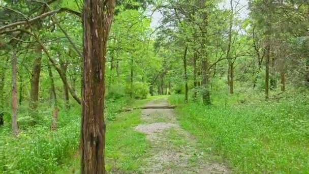 Caminando Por Sendero Leslie Morris Park Fort Hill Frankfort Kentucky — Vídeo de stock