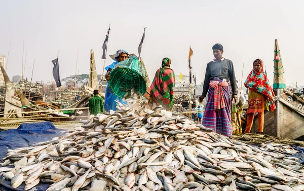 Chittagong Bangladesh Diciembre 2017 Pescadores Que Traen Pescado Fresco Del —  Fotos de Stock