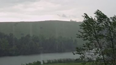 Kentucky 'deki bir çiftlikte şiddetli yaz yağmuru