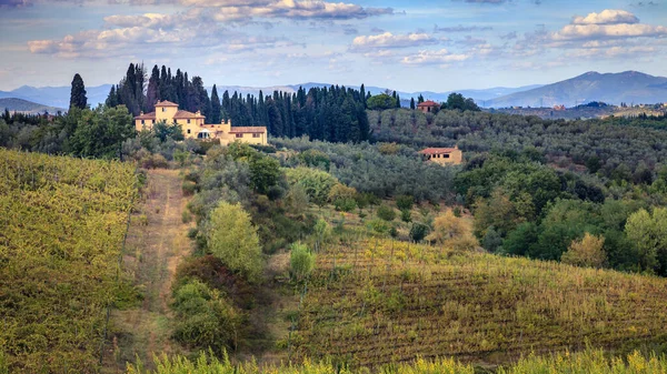 Vista Panorâmica Das Colinas Vinhas Toscana Itália — Fotografia de Stock