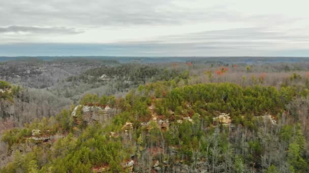 Luftaufnahmen Der Red River Gorge Kentucky — Stockvideo