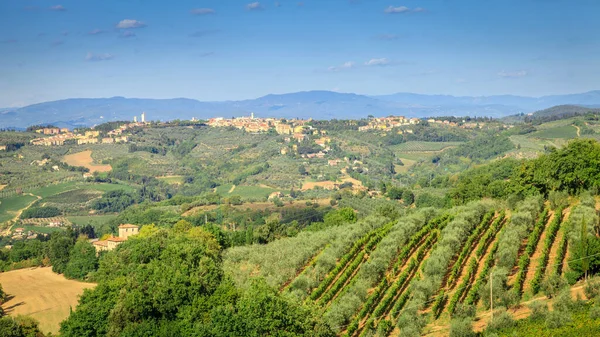 Vista Panorâmica Das Colinas Vinhas Uma Aldeia Toscana Itália — Fotografia de Stock