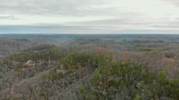 Luftaufnahmen Der Red River Gorge Kentucky — Stockvideo