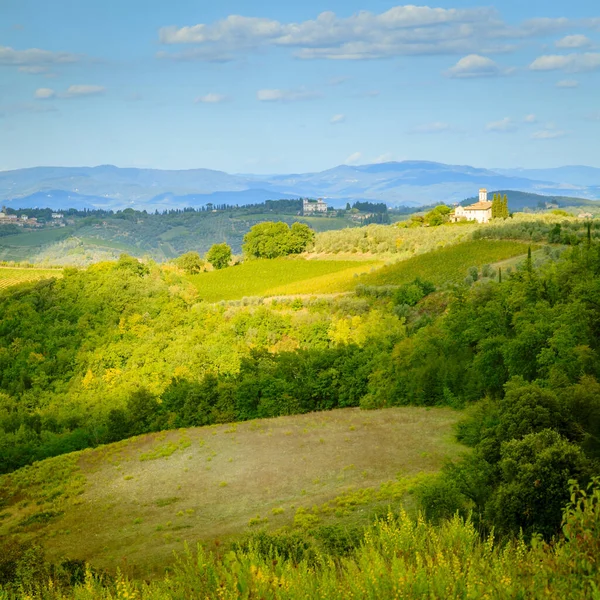 Vista Panorâmica Das Colinas Vinhas Toscana Itália — Fotografia de Stock