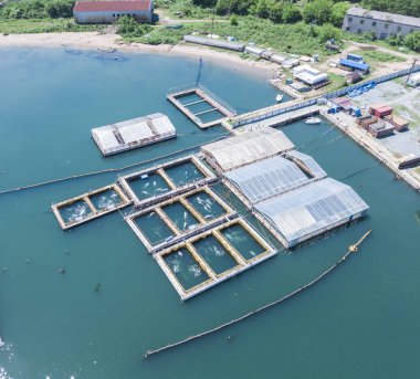 yunus ve katil balina kafesleri