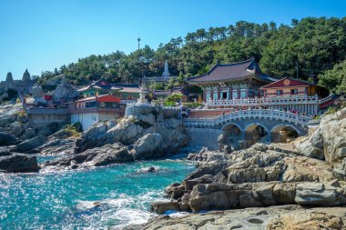 Güney Kore Busan 'daki Haedong Yonggung Tapınağı.