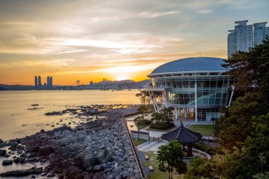 Busan, Kore 'deki Dongbaekseom Adası gece görüşü
