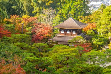 Kyoto, Japonya için gümüş Pavilion Tapınağı