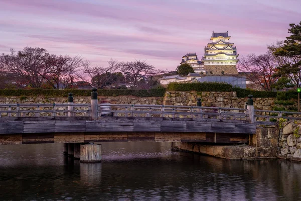 Castillo Himeji Noche Himeji Hyogo Japón — Foto de Stock