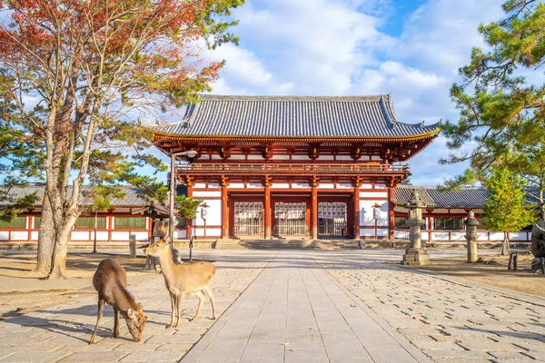 日本鹿と 奈良の東大寺の中門 — ストック写真