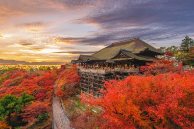 Kiyomizu-dera stage at kyoto, japan in autumn clipart