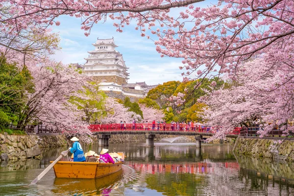 春の満開の桜と姫路城 — ストック写真