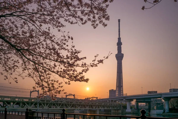 Skyline Ciudad Tokyo Por Río Amanecer — Foto de Stock