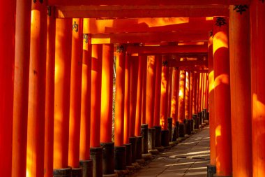 Senbon yakın yol Fushimi Inari-taisha, kyoto, Japonya