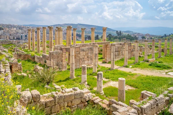 Baños Placcus Jerash Amman Jordan —  Fotos de Stock