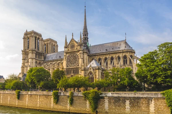 Notre Dame Paris Katedrali Seine Nehri — Stok fotoğraf