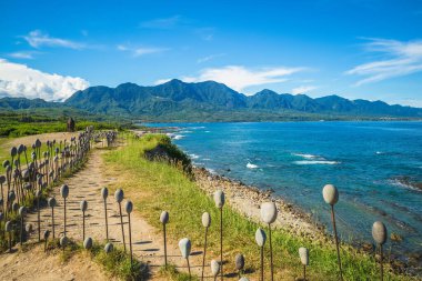 Taitung, Tayvan 'ın doğu kıyısındaki Jialulan Dinlenme Bölgesi