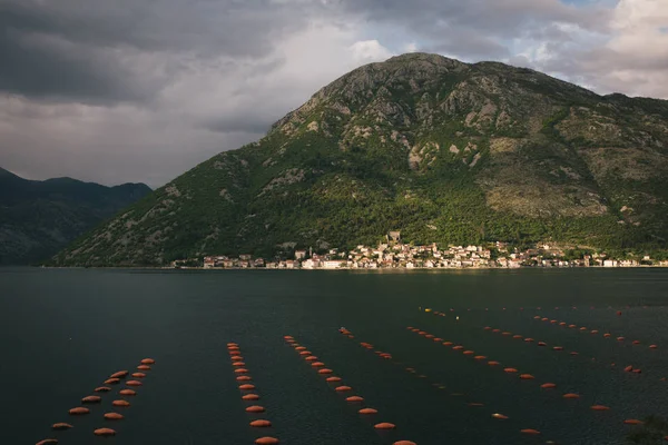 Midye çiftlik. Monenegro, Boka Kotor Koyu'ndaki