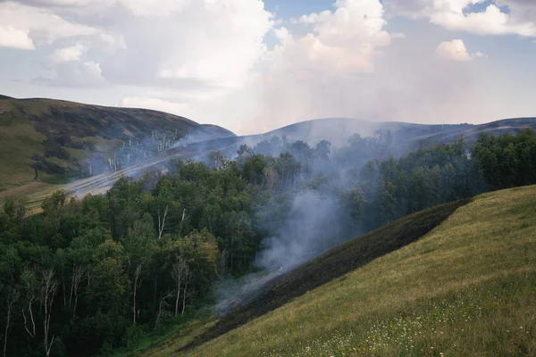 Gevolgen Van Een Bosbrand — Stockfoto