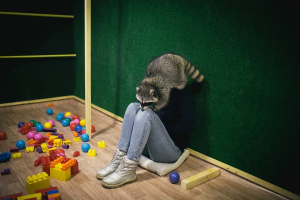 Rakun ve arkadaşı