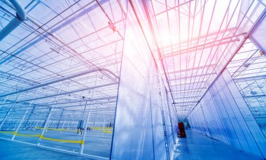 Çerçeveler modern boş sera.